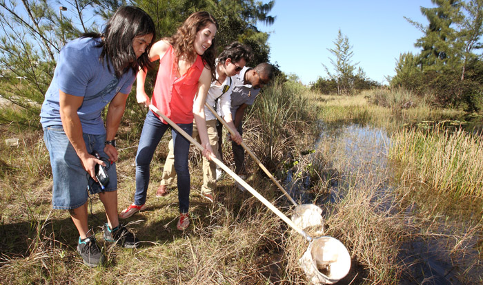 Environmental Science Photo