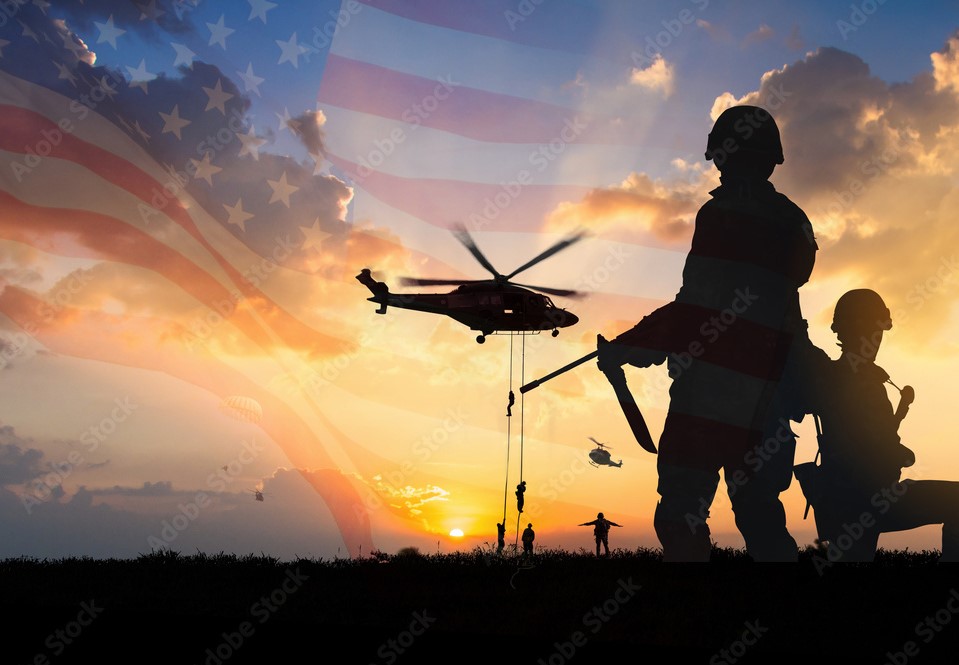 veterans graphic